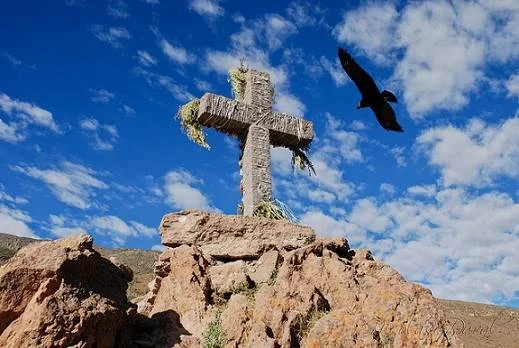 El Santuario del Majestuoso Cóndor Andino - 1